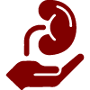 Organ-Donation-and-Brain-Death-Health-Policies